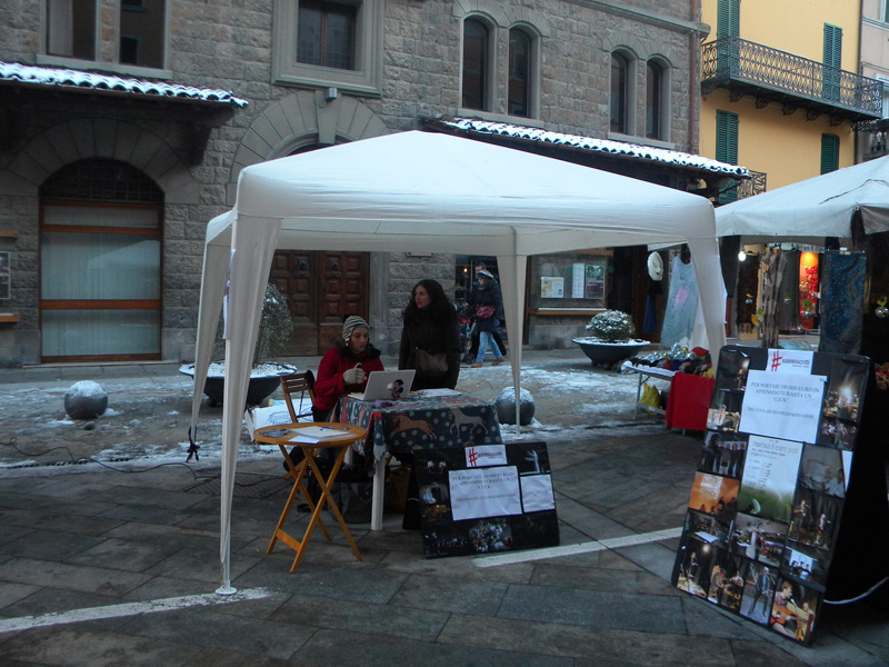 alla ricerca di sostenitori